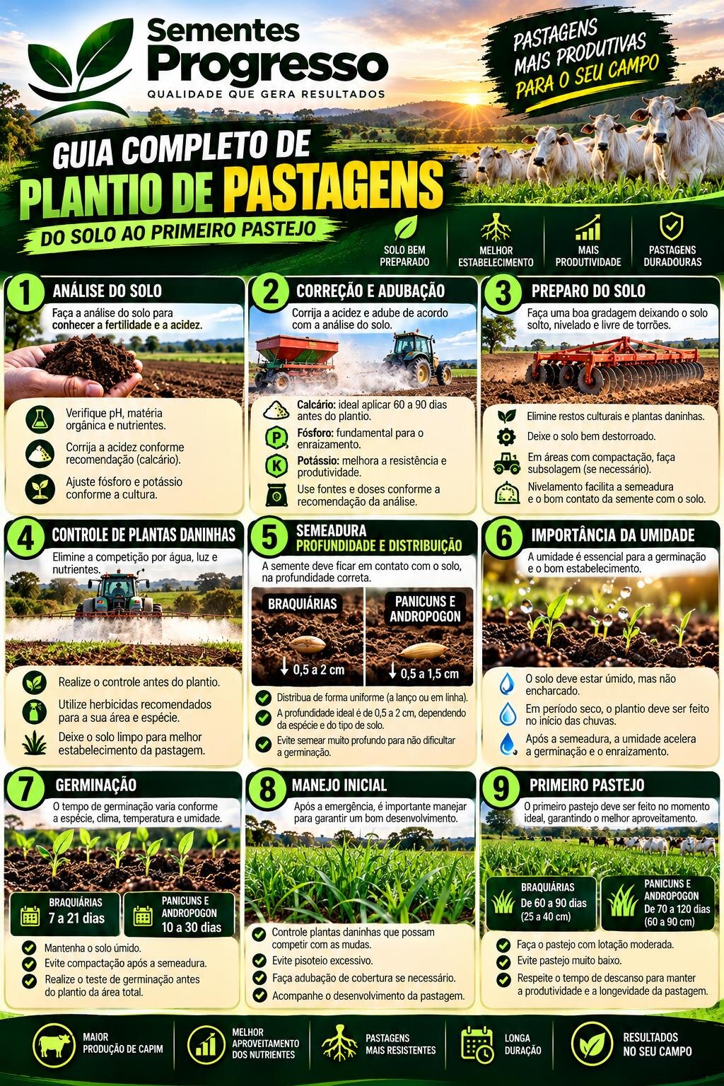 Guia completo de plantio de pastagens, passos 1 a 9