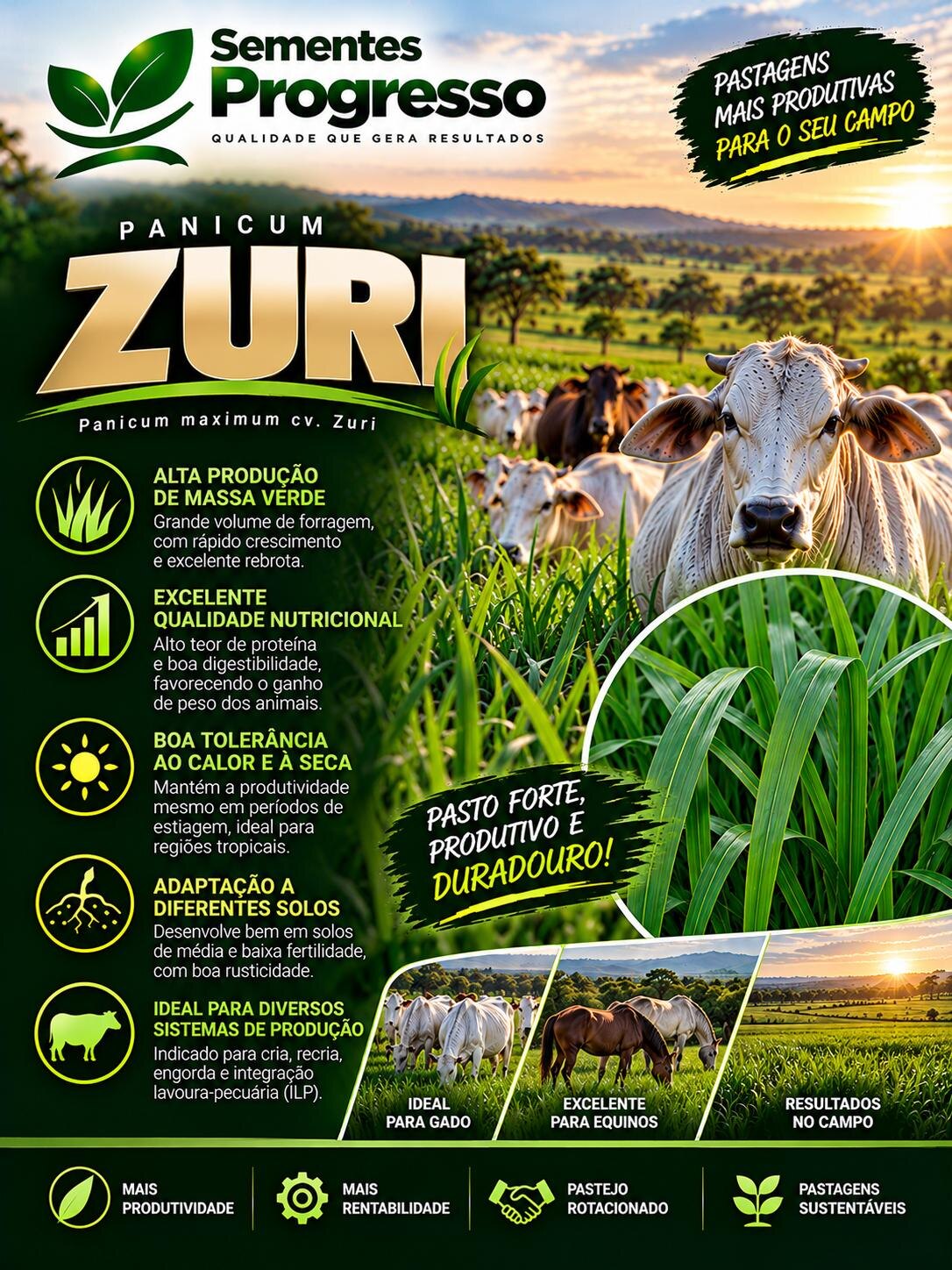 Ficha técnica de Zuri — Sementes Progresso